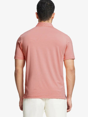 Back half-body view of ORANGE STRIPE Pinstripe Jersey Performance Polo worn by model								
