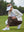 Woman adjusting ankle zip on Women's Ultra-stretch Quick Dry Sweatpants with Ankle Zips in coffee brown on golf course