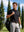 Everyday Solid Jersey Polo